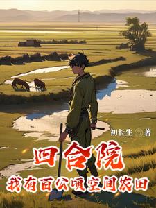 四合院:我成了中年傻柱